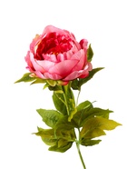 Цветы искусственные «Крупный пион», 9×70 см, розовые 1516240