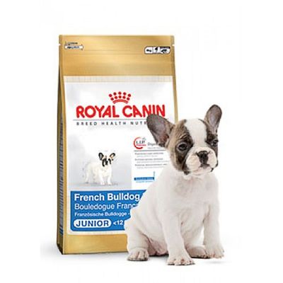 Royal canin french bulldog best sale junior 12kg