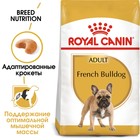Сухой корм RC French Bulldog Adult для французского бульдога, 3 кг - Фото 3