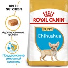 Сухой корм RC Chihuahua Junior для щенков чихуахуа, 500 г - фото 9785423