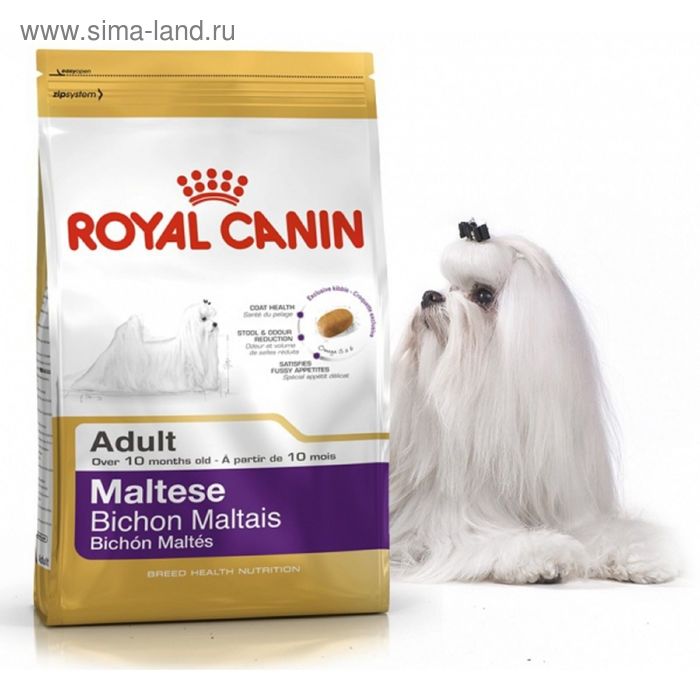 Корма для болонок. Royal Canin Мальтийская болонка. Роял Канин для болонок. Корм Роял Канин для мальтезе. Роял Канин для щенков мальтийской Болонки.