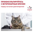 Сухой корм RC Urinary S/O LP 34 Feline для кошек с МКБ, 400 г - фото 9785433