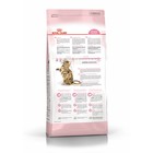 Сухой корм RC Kitten Sterilised для стерилизованных котят, 2 кг - Фото 2