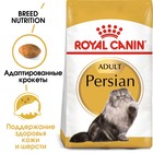 Сухой корм RC Persian для персидских кошек, 2 кг - фото 8290707