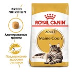 Сухой корм RC Maine Coon для крупных кошек, 400 г - фото 8290728