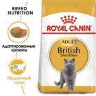 Сухой корм RC British Shorthair для британских кошек, 400 г - фото 9785467