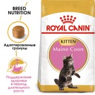 Сухой корм RC Kitten Maine Coon для котят крупных пород, 2 кг - Фото 3