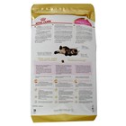 Сухой корм RC Kitten Maine Coon для котят крупных пород, 4 кг - Фото 2