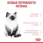 Сухой корм RC Kitten для котят, 2 кг - фото 9785483
