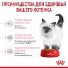 Сухой корм RC Kitten для котят, 2 кг - Фото 5