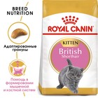 Сухой корм RC Kitten British Shorthair для британских котят, 2 кг - Фото 3