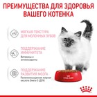 Влажный корм RC Kitten Instinctive для котят, в соусе, пауч, 85 г - Фото 5