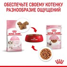 Влажный корм RC Kitten Instinctive для котят, в соусе, пауч, 85 г - Фото 9
