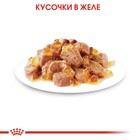 Влажный корм RC Instinctive для кошек, в желе, пауч, 85 г - Фото 3