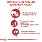 Влажный корм RC Instinctive для кошек, в желе, пауч, 85 г - Фото 4