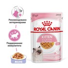 Влажный корм RC Kitten Instinctive для котят, в желе, пауч, 85 г - Фото 2
