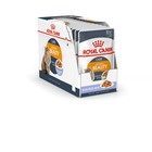 Влажный корм RC Hair&Skin Care для кошек, для кожи и шерсти, в желе, пауч, 85 г - Фото 4