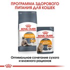 Сухой корм RC Hair and Skin care для кошек, для кожи и шерсти, 2 кг - фото 8290901