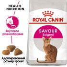 Сухой корм RC Exigent Savour Sensation для кошек привередливых ко вкусу корма,  2 кг 1657472 - фото 50553