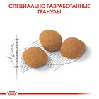 Сухой корм RC Exigent Protein Preference для кошек привередливых к составу корма, 400 г - Фото 4
