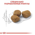 Сухой корм RC Indoor + 7 для кошек живущих в помещении, 1.5 кг 1657484 - фото 16561608