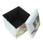 Короб для хранения (пуф) складной "Котик в вазе" - Фото 4