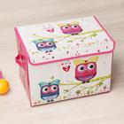 Короб стеллажный для хранения с крышкой «Весенние совушки», 40×26×26 см, цвет розовый - Фото 2