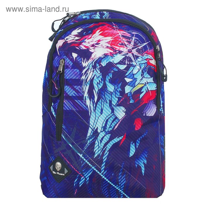 Рюкзак молодёжный на молнии, 2 отдела, наружный карман, синий с рисунком - Фото 1
