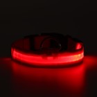 Ошейник с подсветкой размер XL, ОШ 52-60 х 2,5 см, 3 режима свечения красный - Фото 11