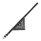 Ошейник с косынкой 32 х 1 см, ОШ 22-28, чёрный - Фото 3