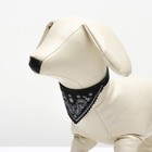 Ошейник с косынкой 32 х 1 см, ОШ 22-28, чёрный - Фото 4