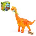 Динозавр «Брахиозавр травоядный», работает от батареек, откладывает яйца, с проектором, цвет оранжевый - фото 49846256