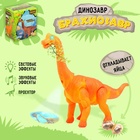 Динозавр «Брахиозавр травоядный», работает от батареек, откладывает яйца, с проектором, цвет оранжевый - Фото 1