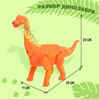 Динозавр «Брахиозавр травоядный», работает от батареек, откладывает яйца, с проектором, цвет оранжевый - Фото 2