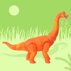 Динозавр «Брахиозавр травоядный», работает от батареек, откладывает яйца, с проектором, цвет оранжевый - Фото 11