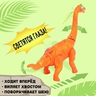 Динозавр «Брахиозавр травоядный», работает от батареек, откладывает яйца, с проектором, цвет оранжевый - Фото 3