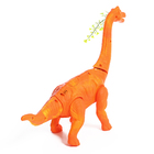 Динозавр «Брахиозавр травоядный», работает от батареек, откладывает яйца, с проектором, цвет оранжевый - фото 9785561