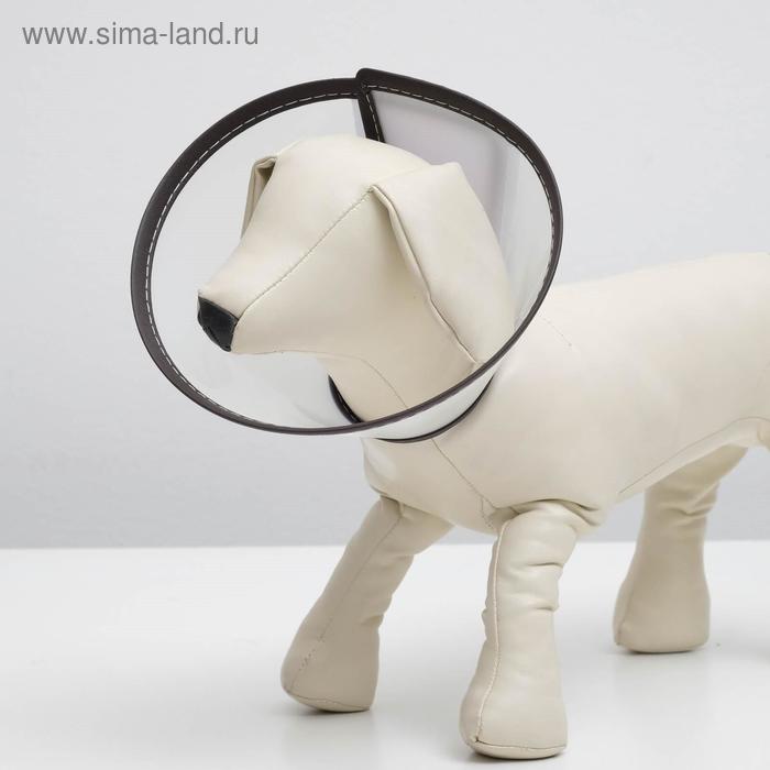 Ветеринарный воротник «Пижон» №1, обхват шеи 14 см, высота 10 см - Фото 1