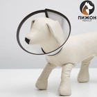 Ветеринарный воротник «Пижон №3», обхват шеи 22.5 см, высота 11 см - Фото 1