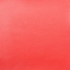 Парикмахерское кресло "Соло гидравлика", 60*65 см, пятилучье хром, цвет красный - Фото 2