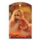 Доска сувенирная фанера 180*300 символ года - Фото 1