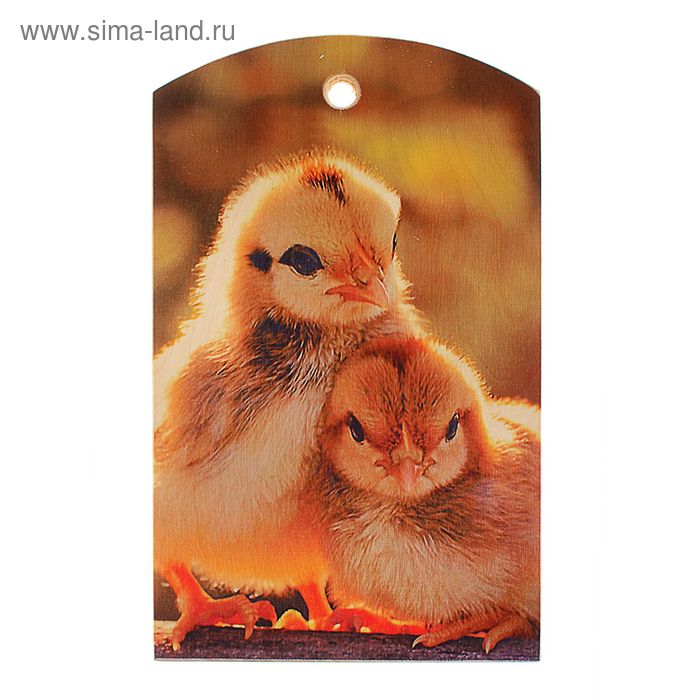 Доска сувенирная фанера 180*300 символ года - Фото 1