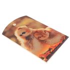 Доска сувенирная фанера 180*300 символ года - Фото 2