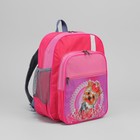 Рюкзак школьный, 2 отдела на молниях, 3 наружных кармана, цвет розовый - Фото 1