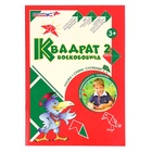 Развивающая игра «Квадрат Воскобовича», 2 цвета 1597678 - фото 816152