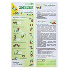 Развивающая игра «Змейка» - Фото 4