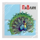 Развивающий комплект «Коврограф Ларчик» + методичка - Фото 23