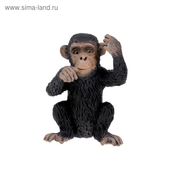 Фигурка «Детёныш шимпанзе» - Фото 1