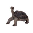 Фигурка «Абингдонская слоновая черепаха» - фото 297812207