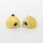 Набор для специй на подставке «Лимон», 2 предмета: солонка 30 мл, перечница 30 мл, цвет жёлтый - Фото 3